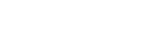 Team Head